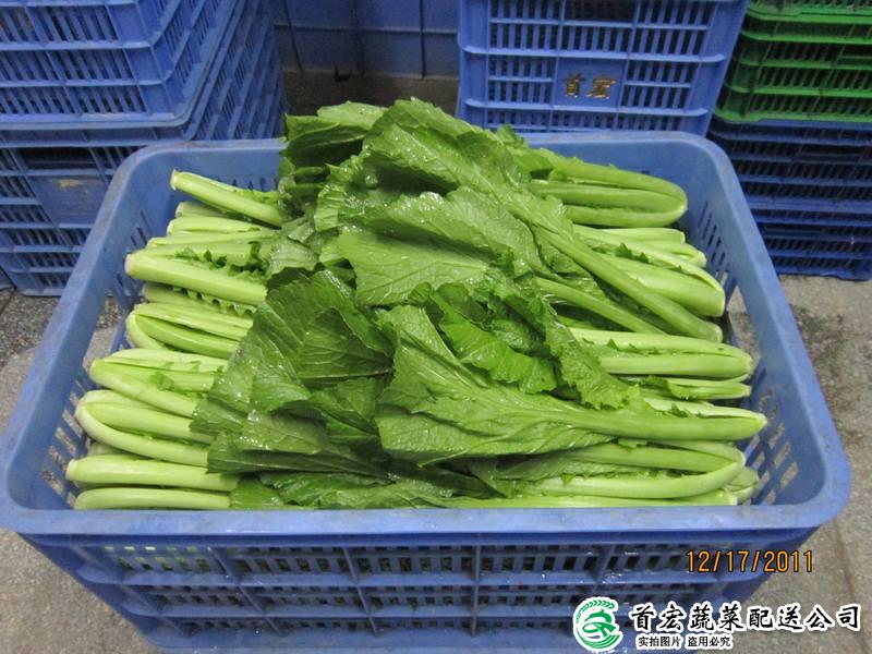 萬江有機蔬菜配送公司