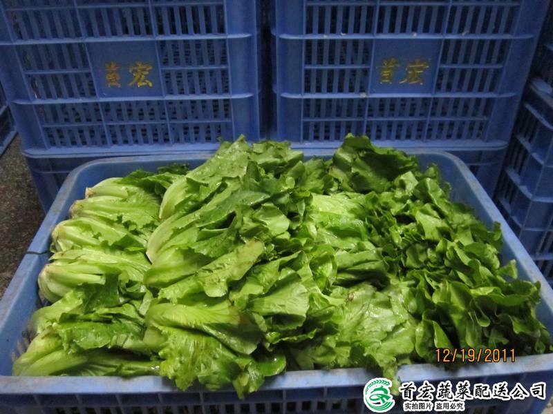 寮步農產品公司