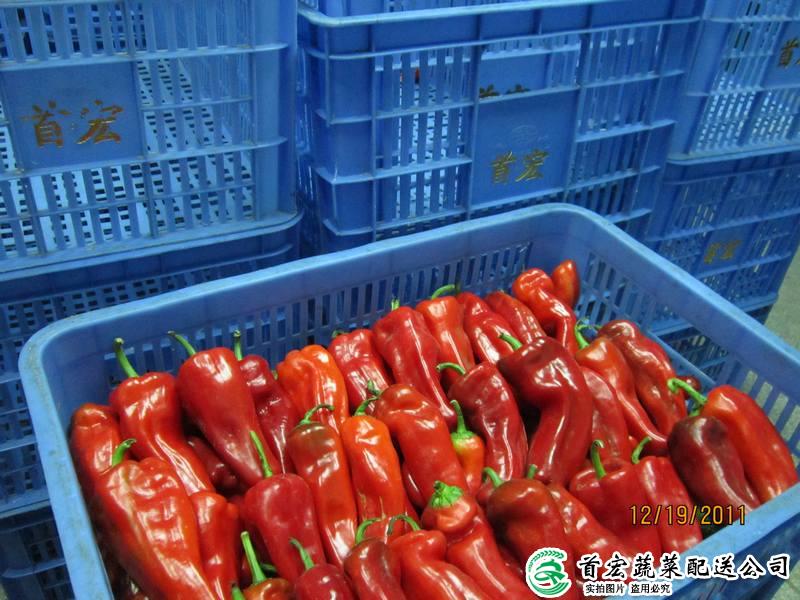 中堂有機蔬菜配送公司