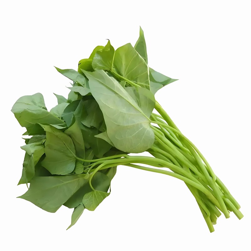 春季保健小常識 春季健康小常識大全