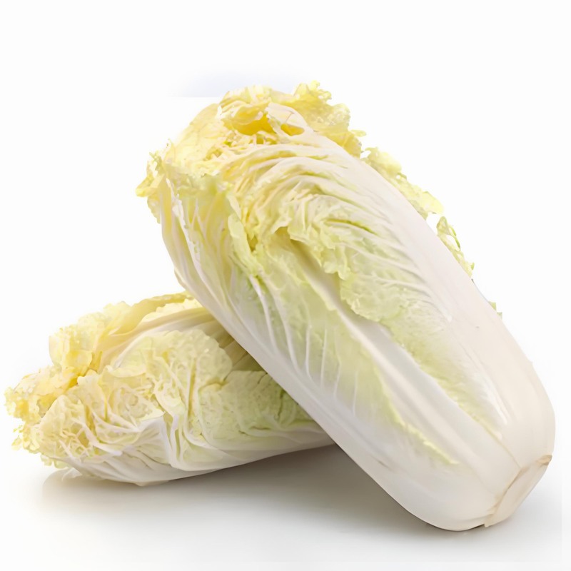 春防八種疾病早春