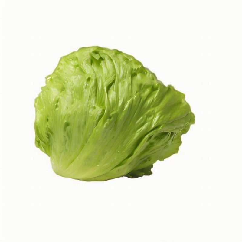 春防出血熱早春