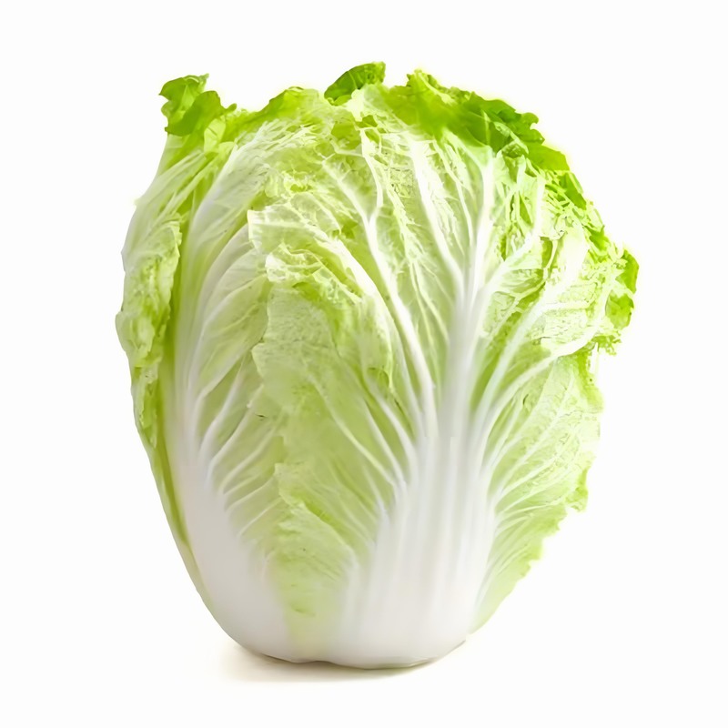 春季保健養生知識大全 春季養生的食物